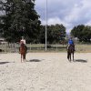 Ponyabteilung